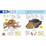 [小牛頓]一樣不一樣(共3冊) 適合5歲以上 精裝全彩 最優質科普繪本, , large