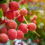 Lychee Fermented Drink 360ml &times; 6 Cans, , large