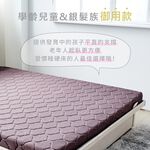 台灣製【藤原傢俬】冬夏兩用護背防螨抗菌10 cm彈簧床墊-硬, , large