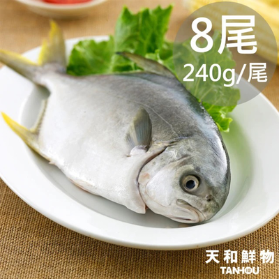 【天和鮮物】黃金鯧8尾(240g/尾)(免運費)