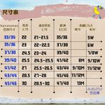 [巴拉娜巴西人字拖專賣店]中壢實體店面 Havaianas SLIM ANIMALS 2022沙灘 海灘 海邊夾腳拖/人字拖鞋 米色/灰色 巴拉娜, , large