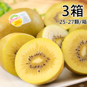 【Zespri】紐西蘭黃金奇異果3箱(25-27顆/箱)免運
