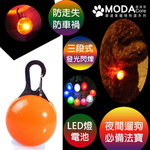 LED light up dog collar