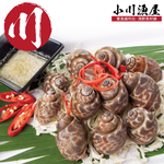 Premium Live-Frozen Sea Snails (Babylonia), , large