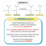 [PROTEIN UP蛋白質博士] 乳清膠原蛋白飲 IA（法國＜米歇爾．柯茲＞可可）6入/盒, , large