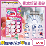 Kobayashi Pipe Detergent 12tablet Blue, , large