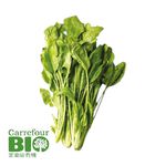 CFBIO spinach, , large