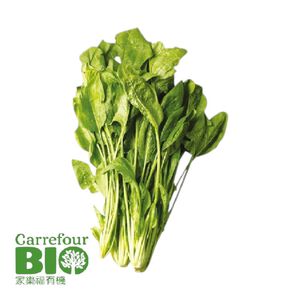 CFBIO spinach