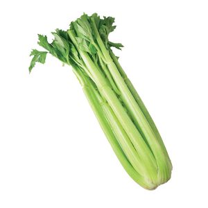 Imported Celery600g