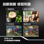 WIN五金 DEVON 大有 4559-Li-20  6吋 20V 無刷鏈鋸機 修枝機 單手操作鋸樹 園藝工具, , large