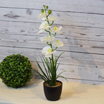 ARTIFICIAL ORCHID PLANT W/BLACK POT-WHITE, , large