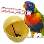 金德恩 GS MALL 台灣製造 寵物飼料點心盒 寵物雞蛋球 雞蛋球盒 點心盒 飼料盒 容器 飼料盒 LIXIT 雞蛋球造型, , large
