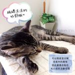 調節濕氣磚 10片1組 日本製 DIY 3M背膠磁磚 吸濕除臭 美濃燒 綠建材 呼吸磚 無毒 吸附甲醛, , large