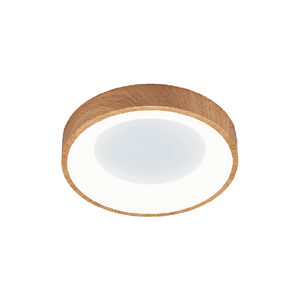 24W LED Ceiling-mounted Light