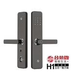 【TEW台熱牌】智能5合1把手式電子鎖/門鎖(H1)(指紋/密碼/卡片/鑰匙/APP遠端開門)(附基本安裝), , large