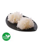 CFBIO Tremella fuciformis, , large