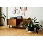 Klipsch THE THREE PLUS 藍牙喇叭 - 福利品 享原廠保固三個月, , large