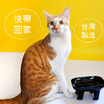 [高安實業]毛核子 陶瓷動物胖胖碗 碗架 貓碗 狗碗 陶瓷 250ml 大容量寵物碗-黑色, , large