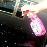 英國CarPlan 蟲屍快速去除劑 蟲屍清潔 鳥屎清潔 樹汁清潔 快速軟化清潔, , large