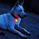 dog bell, , large