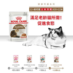 【拉拉寵物小舖】法國皇家 貓主食餐包 A30+12W 12+歲老貓主食濕糧 貓主食濕糧, , large