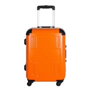 C-F2501 19.5  Luggage