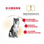 【拉拉寵物小舖】法國皇家 狗飼料 S26 柴犬成犬專用乾糧 4公斤, , large