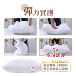 [ Pure Sleep純好眠 ] 羽絲絨飯店枕芯, , large