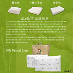 【Arnold Palmer雨傘牌】蝶形乳膠枕1入, , large