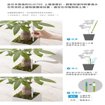 【向花緣】SUSTEE土壤濕度計 日本原裝進口(智慧型監測計、無須安裝電池)  綠色 - L, , large