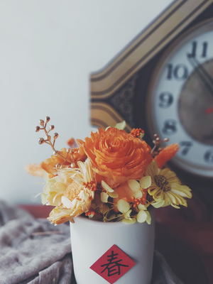 【Pola's Living】春暖花開乾燥盆花花禮/橘黃