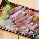 Neritic Squid, , large