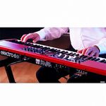 Nord Electro 6D 合成器鍵盤 61鍵款【敦煌樂器】, , large