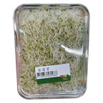 Alfalfa sprouts, , large