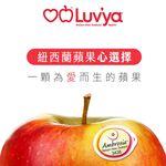 Ambrosia Apple#90, , large