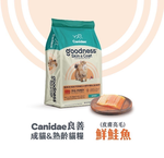CANIDAE, , large