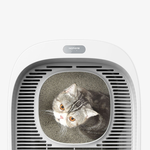 Homerunpet  First Class Full Cover Cat Litter Box, , large
