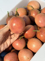 Passion Fruit, , large