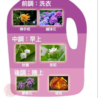 【衣桔棒】香水洗衣凝露 補充包1500g 香水洗衣精 手洗精 中性洗衣精 貼身衣物清潔