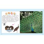 How Animals Live-Birthing, , large