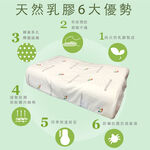 【Arnold Palmer雨傘牌】蝶形乳膠枕1入, , large
