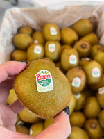 New Zealand Green Kiwifruit, , large