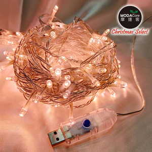 XMAS LIGHT