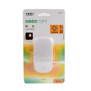 LED Night light