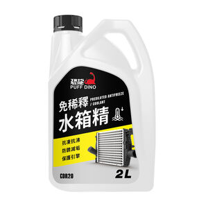 【汽車百貨】恐龍免稀釋水箱精2L