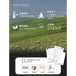 【吉梵尼 范侖鐵諾】台製溫感舒適透氣羊毛被(冬被/被子/被胎), , large