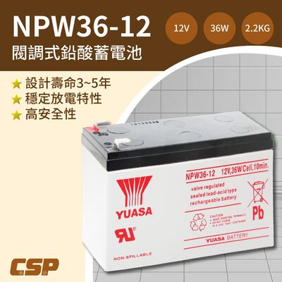 【YUASA】NPW36-12 (2顆) 12V36W閥調密閉式鉛酸電池~同REW45-12尺寸高放電率 UPS 不斷電 照明系統 醫療裝置