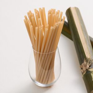 【100%植】6mm 斜口 平口吸管 甘蔗吸管  環保吸管  環保標章認證吸管25入