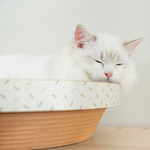 【paipaipets】Cardboard cat scratcher bowl, , large