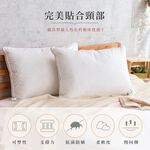 DUYAN竹漾 5D科技賴床枕 台灣製, , large